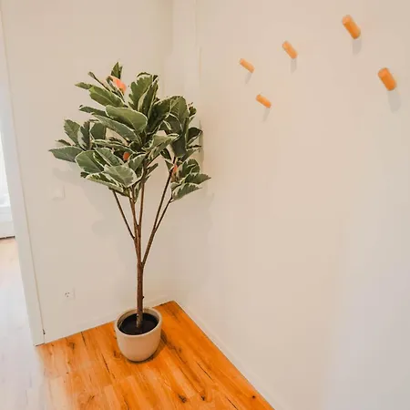 Staylight Penthouse Am Franzoesischen Garten - Fruehstueck - Altstadt - Parkplatz
